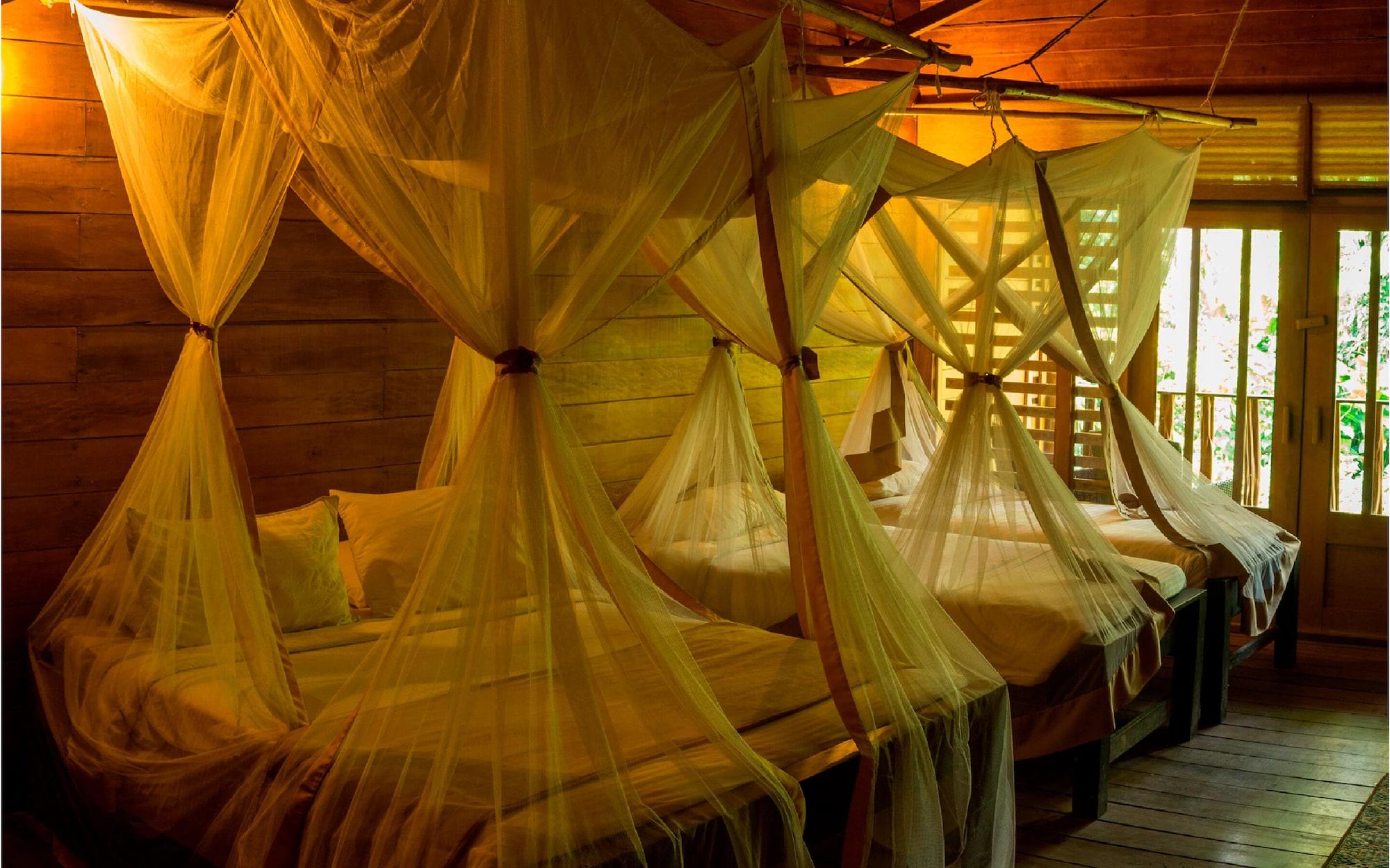 On Vacation Amazon Hotel Leticia