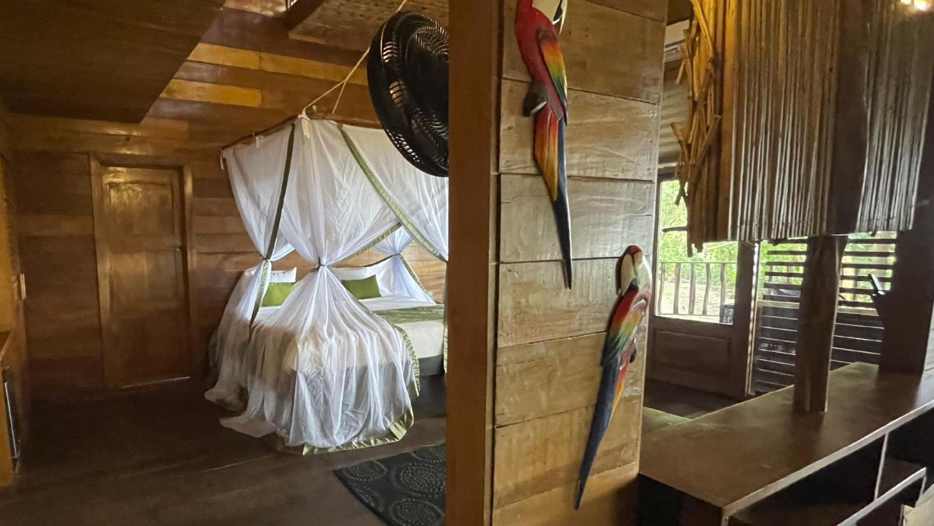 On Vacation Amazon 4*